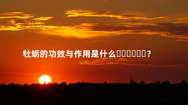 牡蛎的功效与作用是什么？